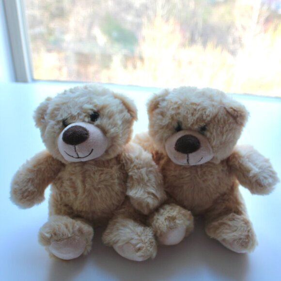 2 set twin teddy bear toy - Picture 2 of 3